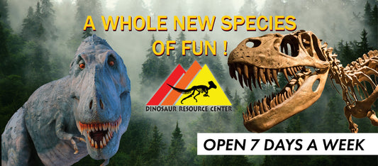 Dinosaur Resource Center